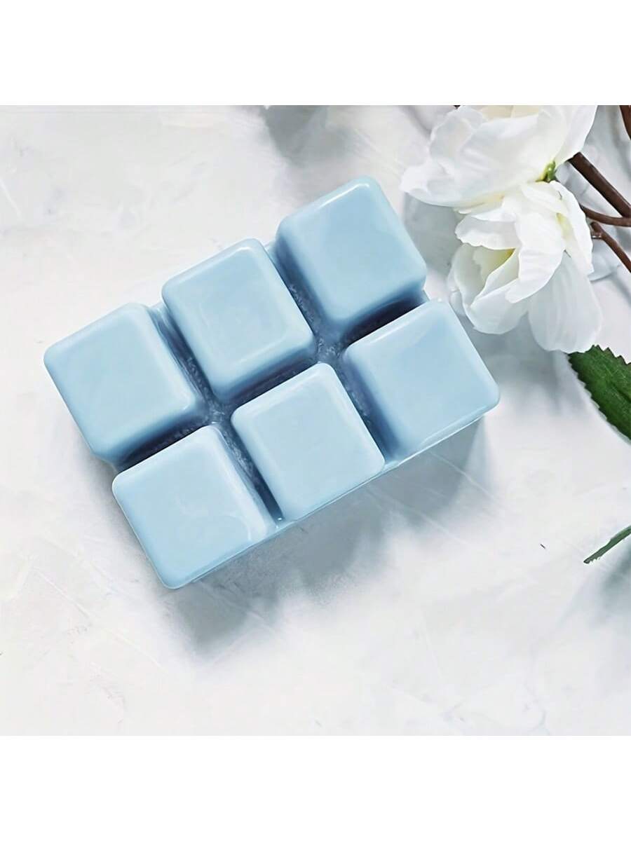 12/24個入り 長方形 6穴 クリアプラスチックモールドト - Soap Making Websites のレビューと価格